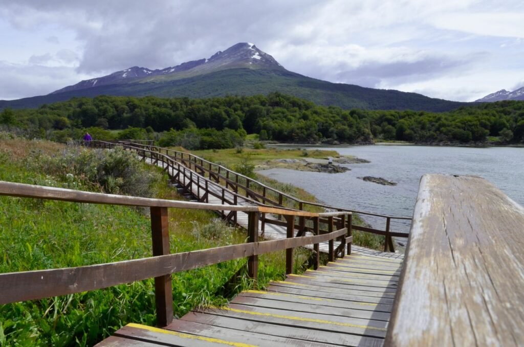 Scenic view of a wooden boardwalk leading through lush green fields to mountains in Ushuaia, Argentina.